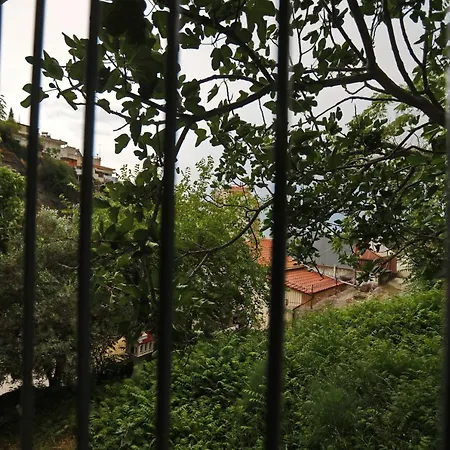Terranova