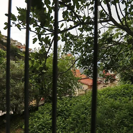 Terranova
