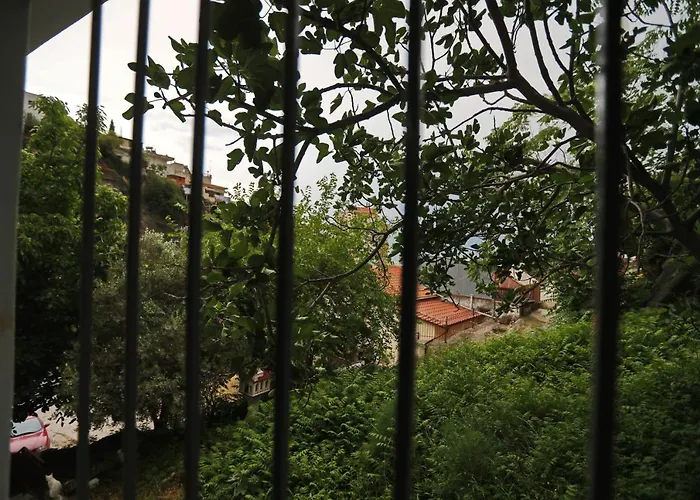 Terranova