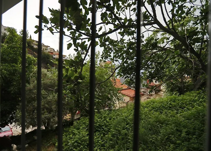 Terranova